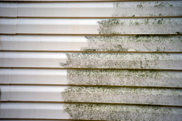 Trusted Hayfork, CA Siding Installation & Repair Experts
