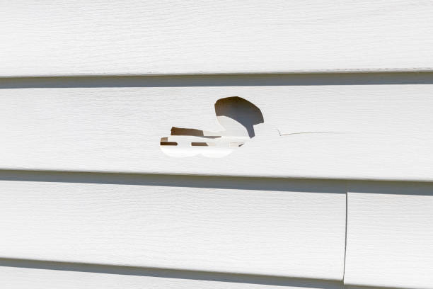 Best Siding Removal and Disposal  in Hayfork, CA