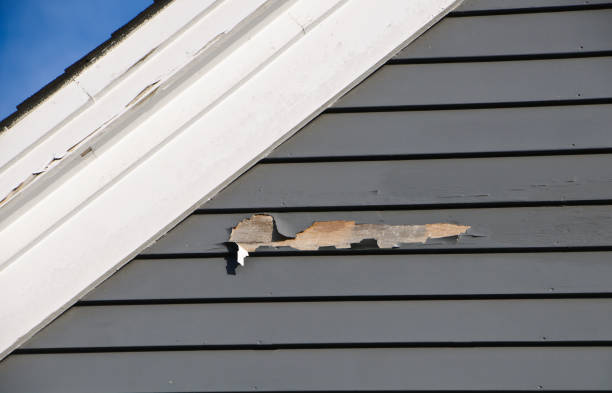 Best Siding Painting and Refinishing  in Hayfork, CA