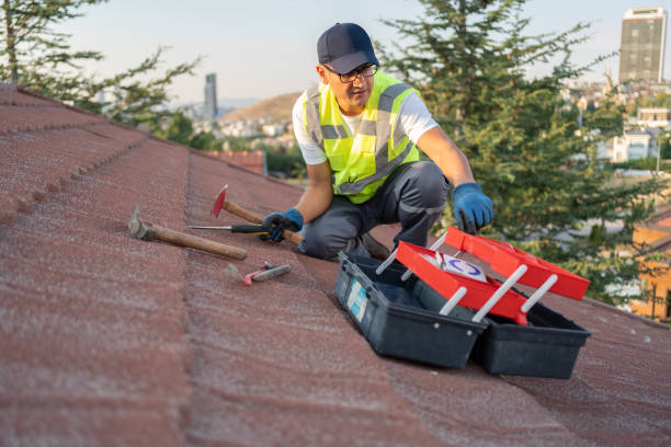 Best Residential Vinyl Siding Installation  in Hayfork, CA